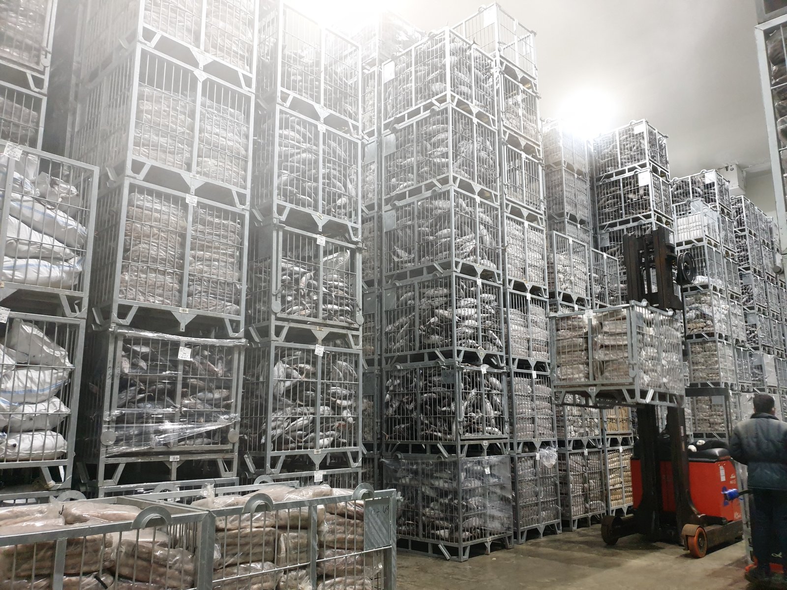 Stacked steel cages of frozen product in the cold store
