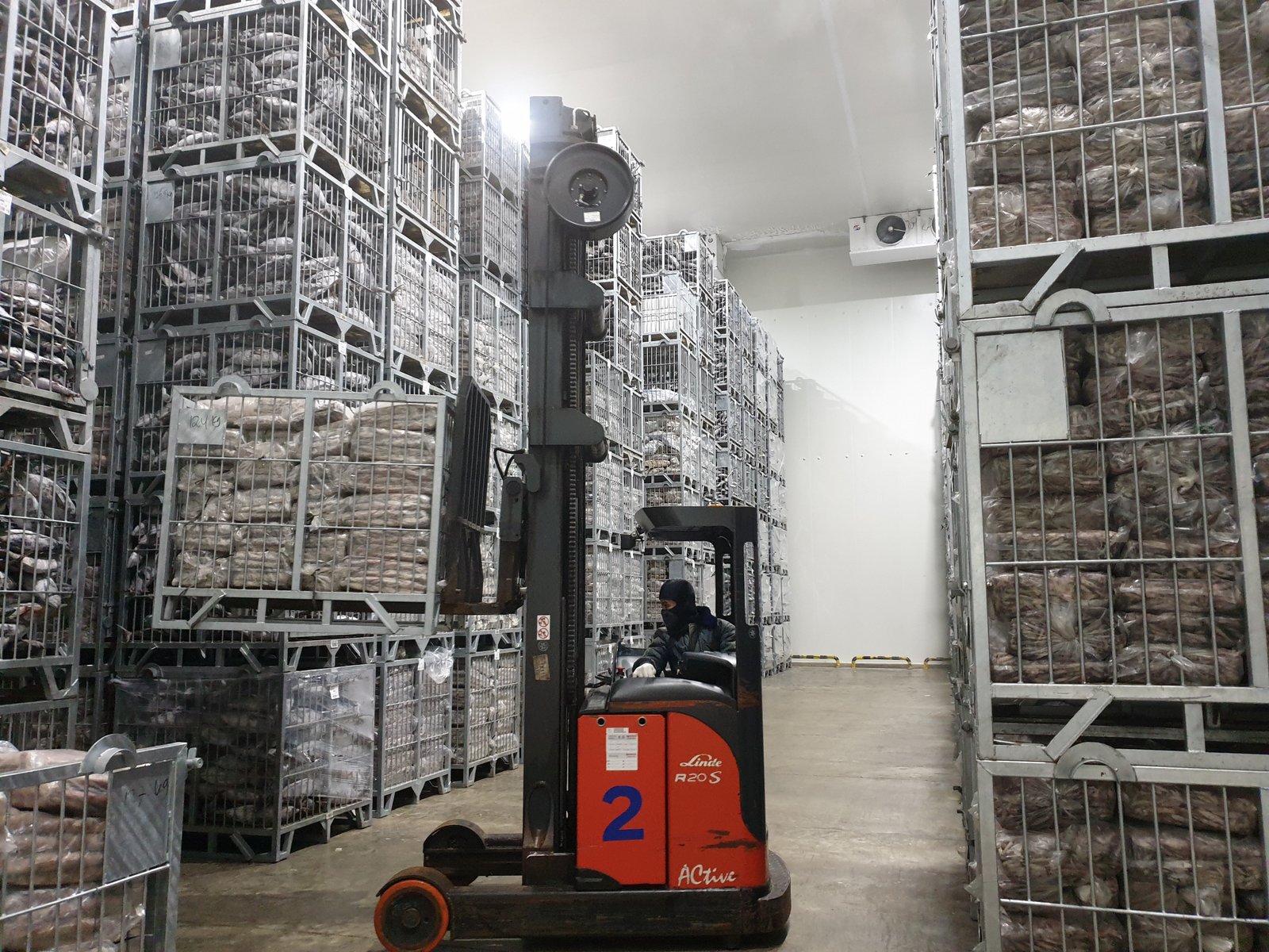 Reach truck staging frozen cartons for dispatch