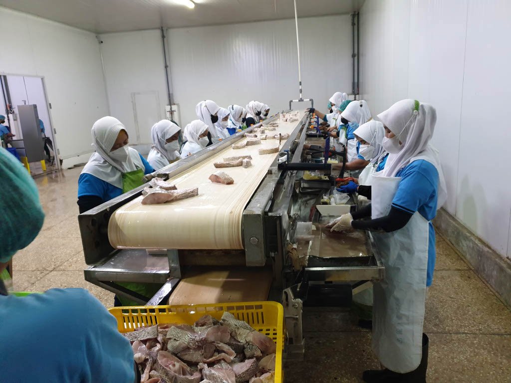 Processing line staff working along the conveyor belt