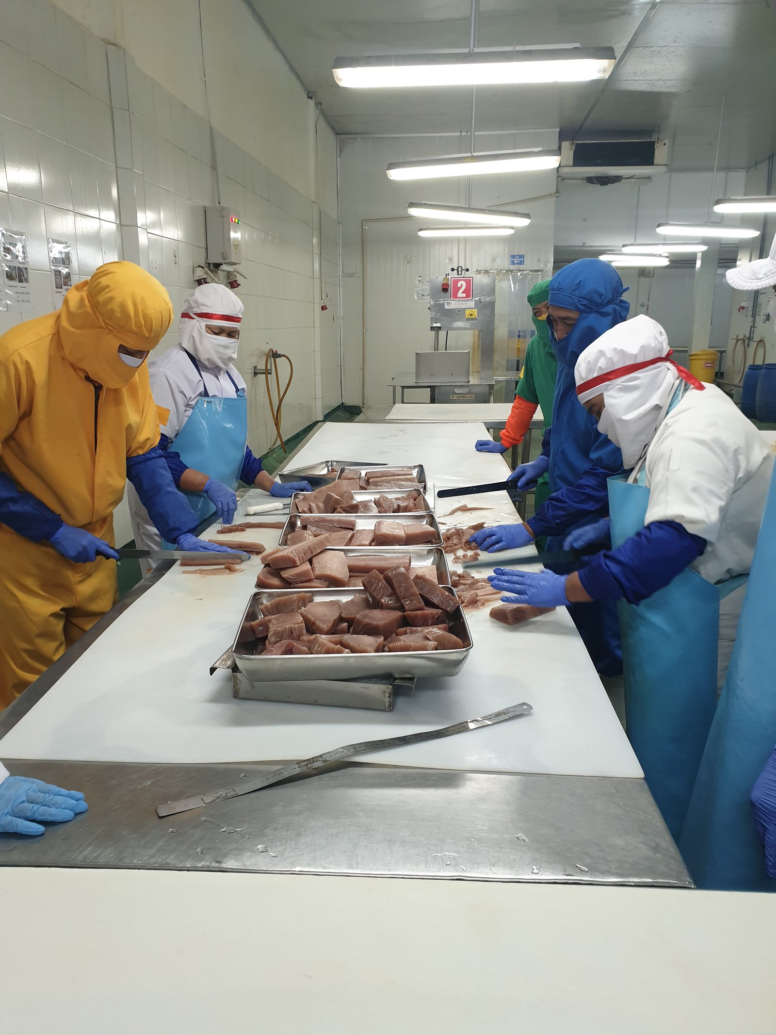 Portions arranged in freezing trays before blast freezing