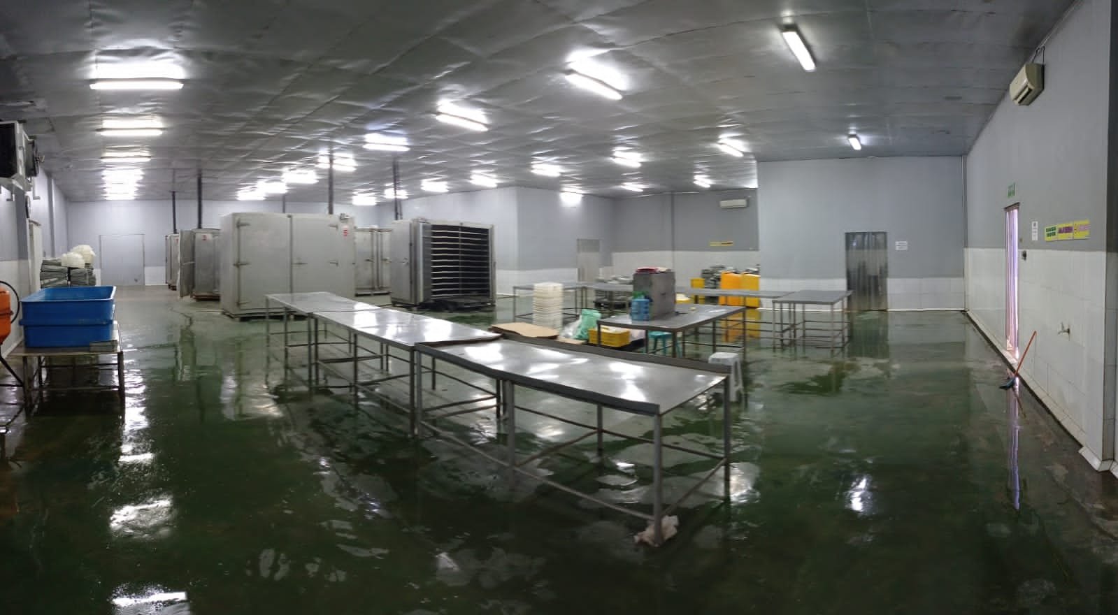 DERFISH processing hall with stainless steel grading tables