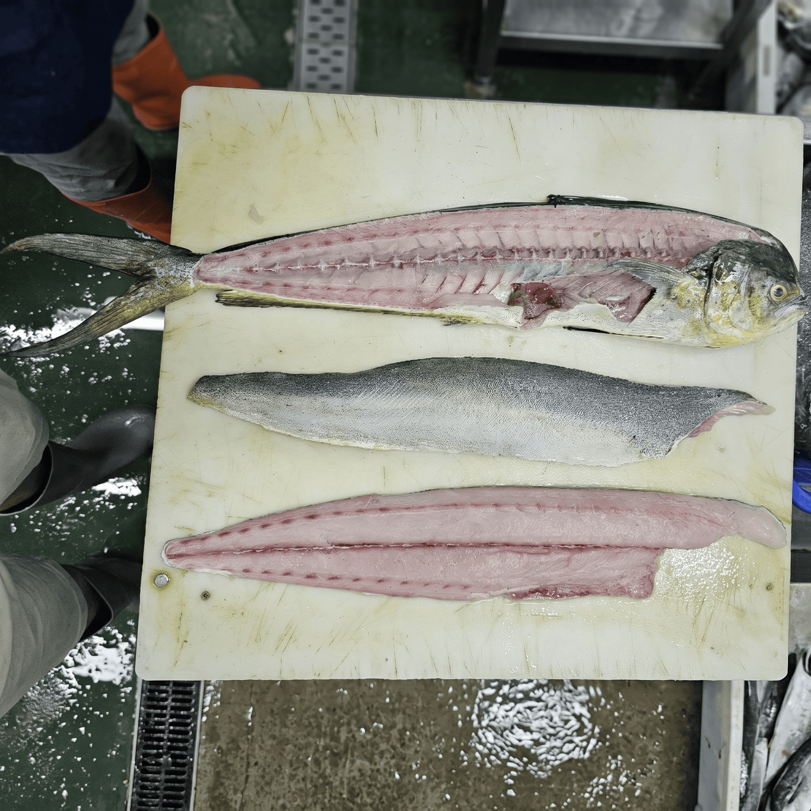 Mahi-mahi fillet — skin-on