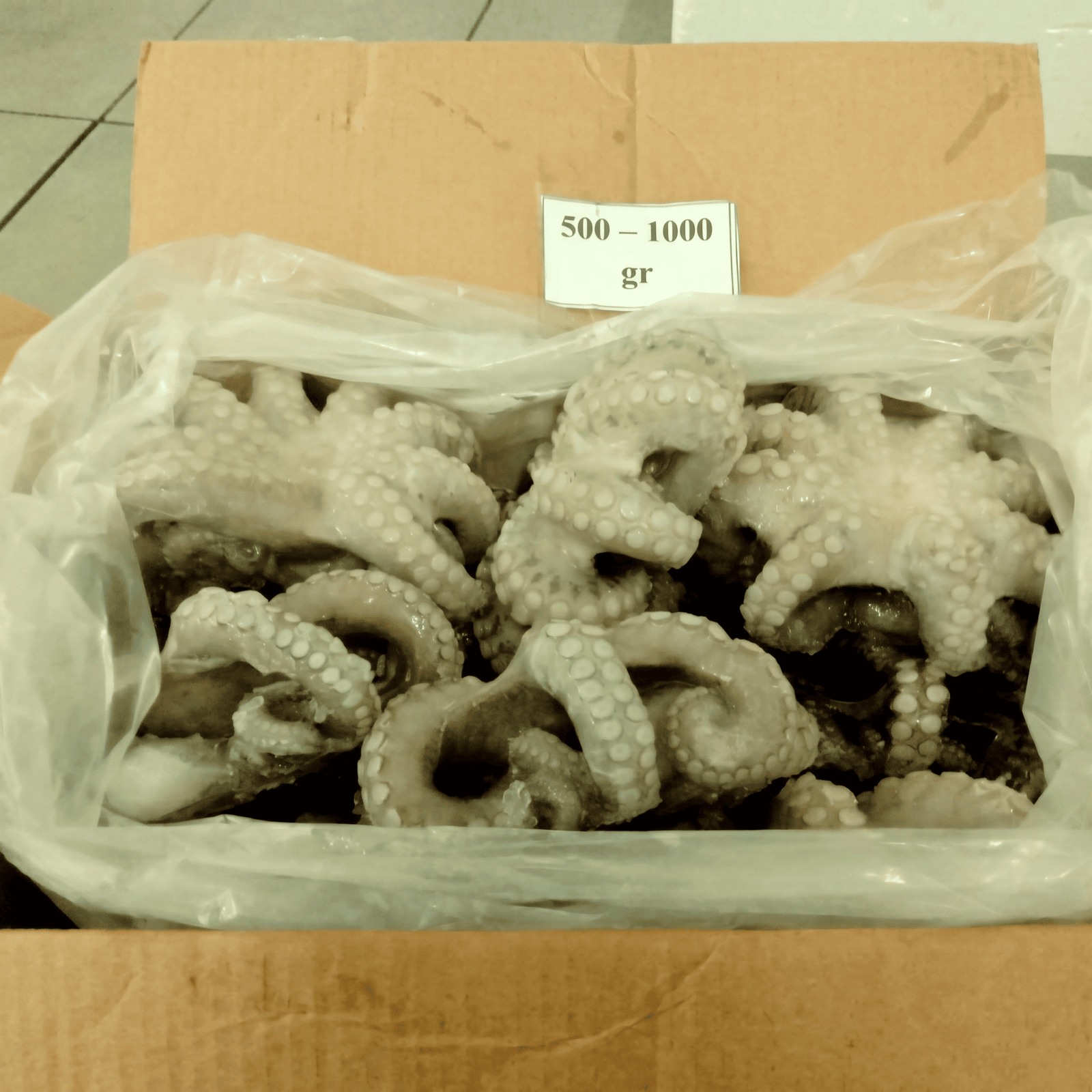 Octopus 500–1000 g — whole cleaned