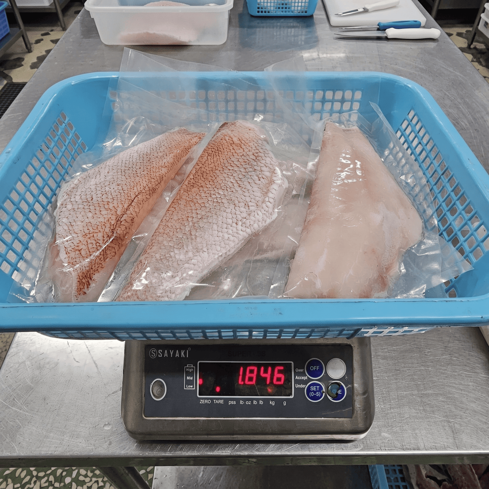 Red snapper fillet — checkweighed